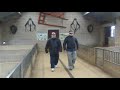Shavalah Brothers - A day at Cotswold wildlife park
