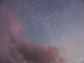 Dragon Kite