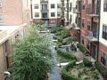 Pre-Hurricane Ike