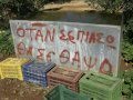 Aστείες Πινακίδες!το γέλιο συνεχίζεται!!