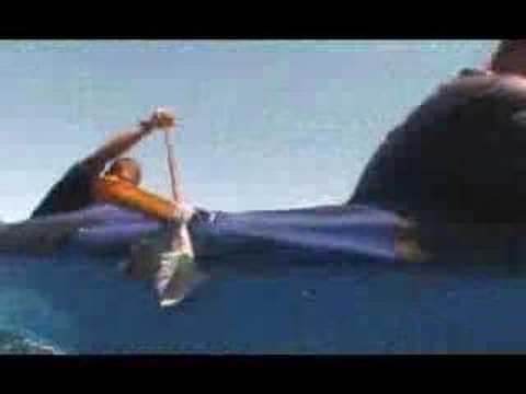 MAUI OUTRIGGER CANOE PADDLE