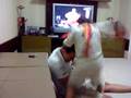 Alessandro Albert Vs. Naji Motran UFC