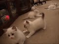 ???????????????????
