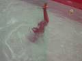 videos de Polly plantando Bananeira.MOV