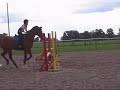 Moja jazda konna (galop na karym koniu nie jest m�j)