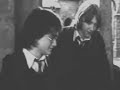 harry-potter-deathly-hallows-theory-vid1.html