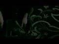 Dead Poets Society - Synners (Director's Film Festival Cut)