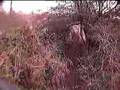mtb dh Blackamoor Sheffield