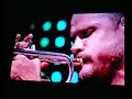 Flea at the Trumpet