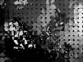 B2B3 Trio Hungarian Funk Jazz Band MIX