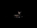Marisa Monte in Tokyo- Bem que se quis- F.Ono