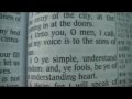 Proverbs 8