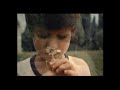 Daniel Iancu - 