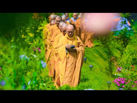 NIKAYA Khất Thực - Niềm Vui Cao Thượng *