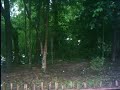 Our House in Rangamati 4