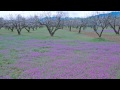 The Beautiful Ojai Valley - YouTube