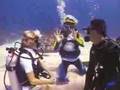 YOUR TRAVEL GUIDE- Shane O-VIRGIN ISLANDS 4. Scuba Wedding