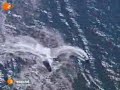 greenpeace boat