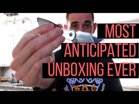 YouTube reptile video