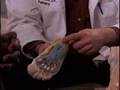 Good Feet Emmitt Smith