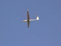 3.6M DG505 Hand Launch 3.6M DG505 Hand Launch