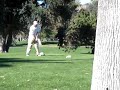 Golf Shot of the Year