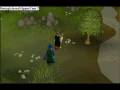 THE NOOB WHACK