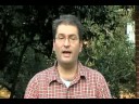 Interview with Mike Totaro