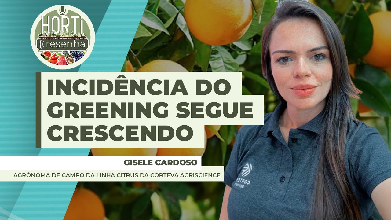 HORTI RESENHA #120 - Incidência do greening segue crescendo e desafiando os citricultores ...