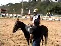 Mangalarga Marchador, Beta da Decada