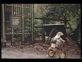 NTNOCN - No Dogs