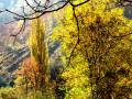 Autumn Landscapes - Panorami d'Autunno