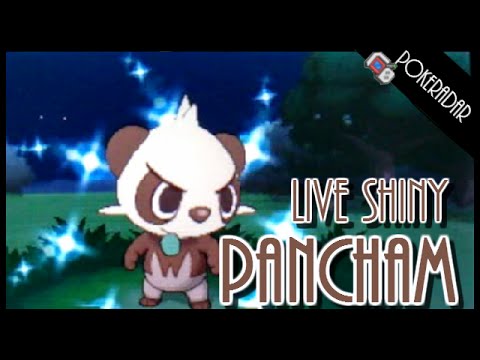 how to patch pokemon y