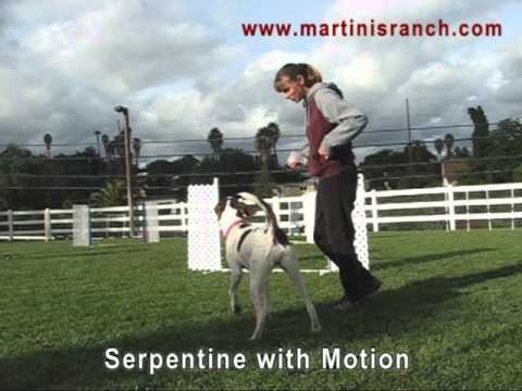 how to practice agility