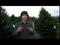 videos de LAME Episode 4 - Christmas Special