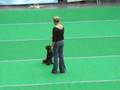 videos de Suse und James DogDance