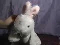 I\