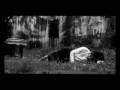 Reunion sanglante - trailer - www.elephantfilms.com