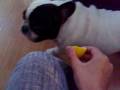videos de 21092008.mp4