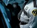 trunk-monkey-cop-stop.html
