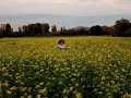Eulah Running Stop Motion.m4v