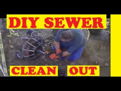 how to unclog a drain with tree roots