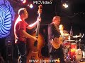 head cat at the knitting factory rocking out the stray cats tune 