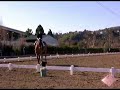 IEL Dressage Show Jan 13, 2008 - 3rd Level Test 3