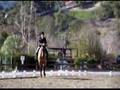 IEL Dressage Show Jan 13, 2008 - 3rd Level Test 3