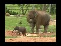 sri-lanka.html