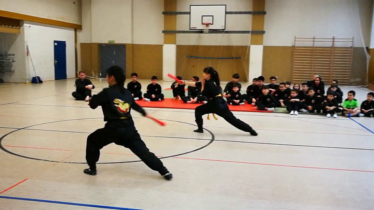 HỌC SINH TRƯỜNG VÕ NAM HỒNG SƠN BERLIN BIỂU DIỄN