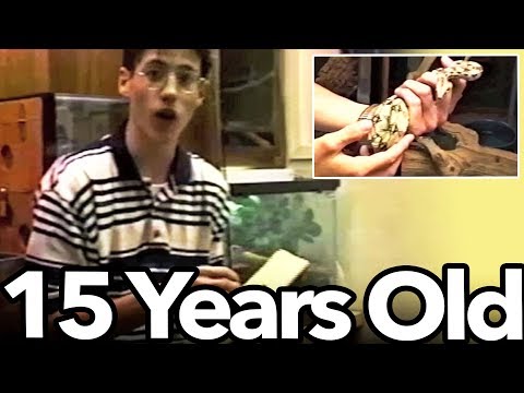 YouTube reptile video