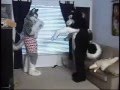 Subservient Huskers - Part 2
