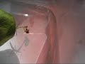 Praying mantis grabs and eats an ant